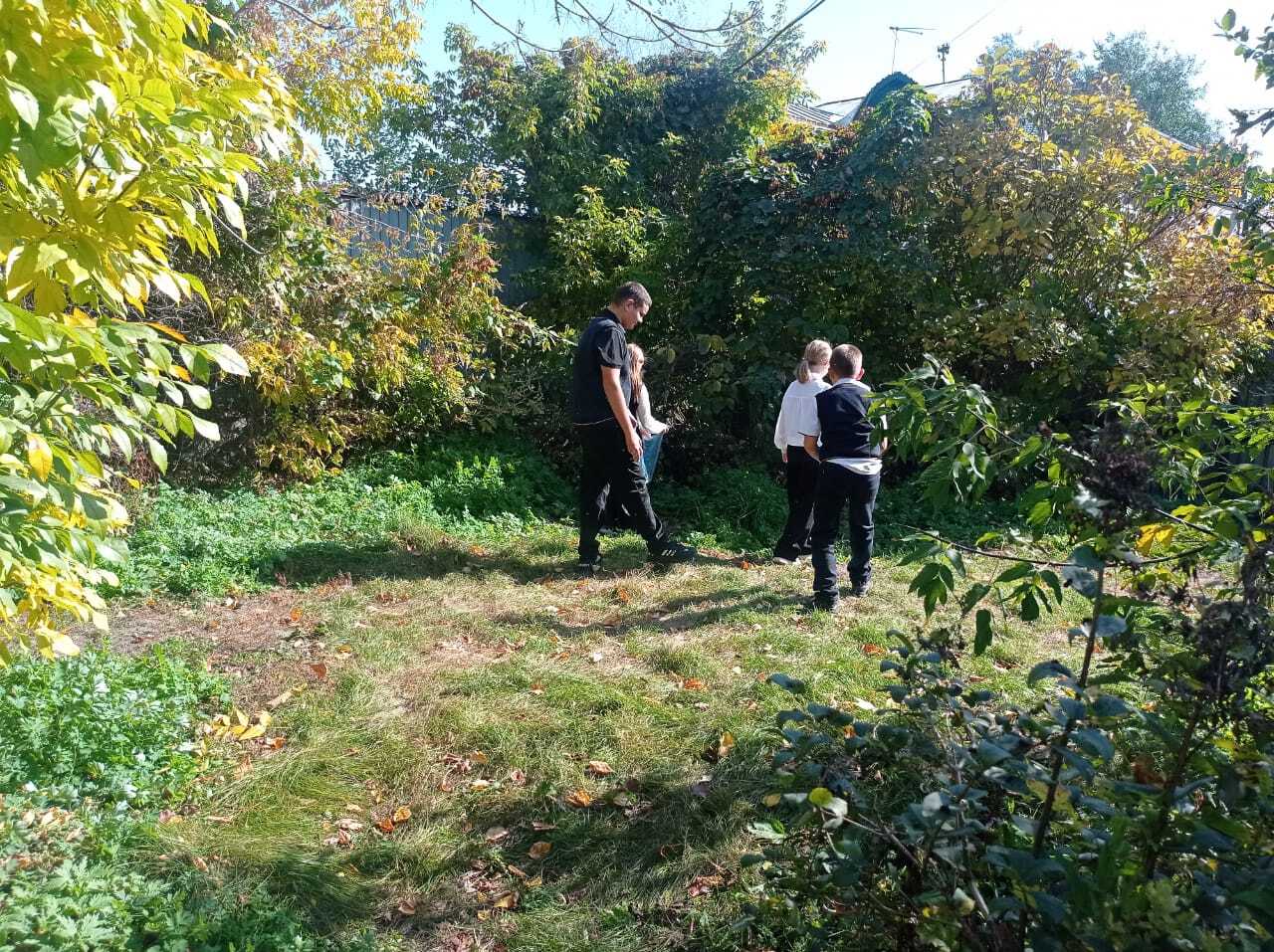 Лес победы.